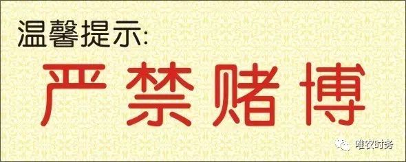 戒赌吧 一个孩子的孤独：我的父母为何只爱牌桌不爱我？